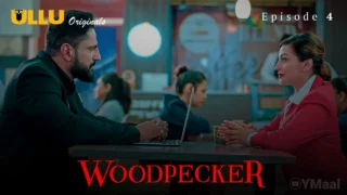 Woodpecker Episode 4